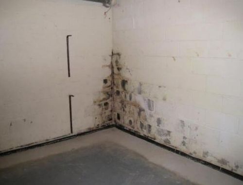 Humedad en Sótanos » Tratamientos y Soluciones |【2020】